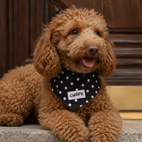 Bandana Polka Black