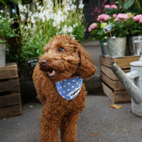 Bandana Polka Blue