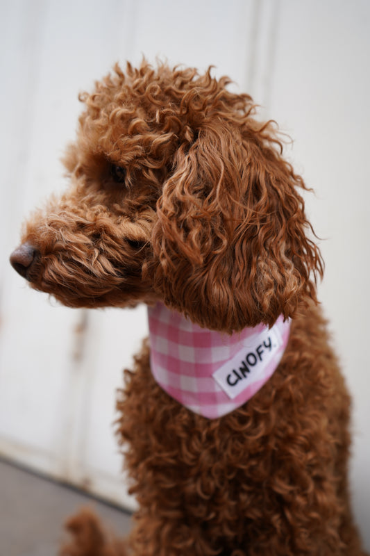 Bandana Vichy Rose