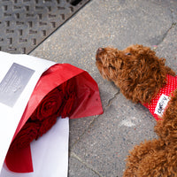 Bandana Polka Red