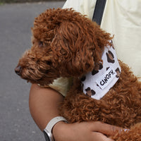 Bandana Léopard