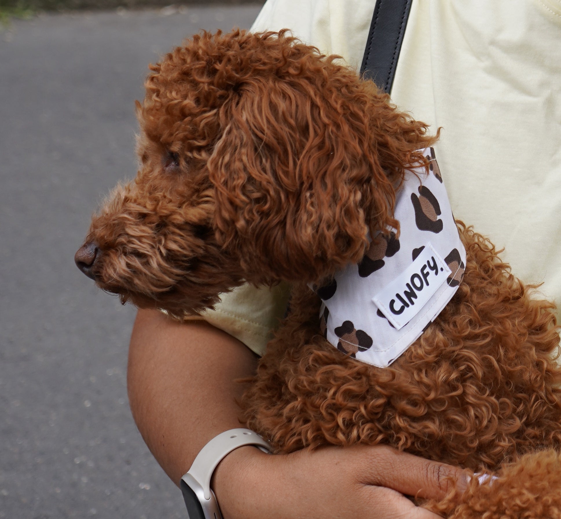 Bandana Léopard