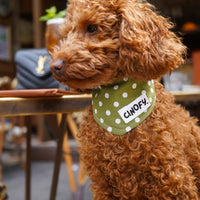 Bandana Polka Green