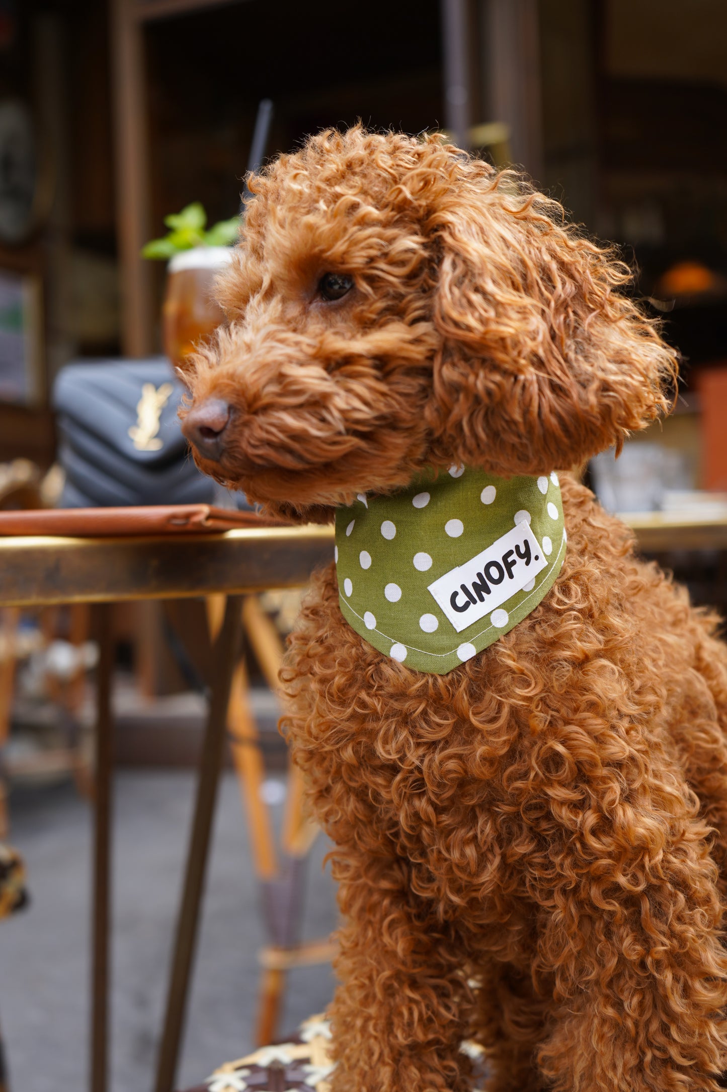 Bandana Polka Green